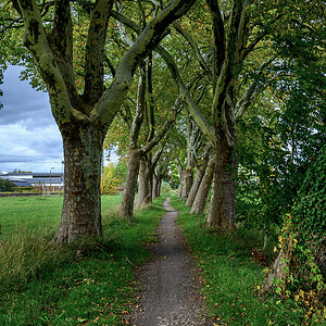 OFZ_02590.jpg