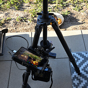Stativ_Fieldmonitor_ZF11830.jpg