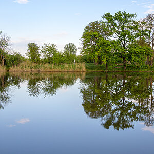OFZ_04453.jpg