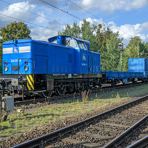 OFZ_07371.jpg
