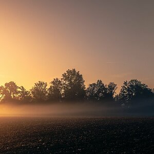 Nebel