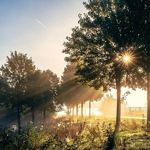 Nebel