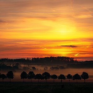 Nebel