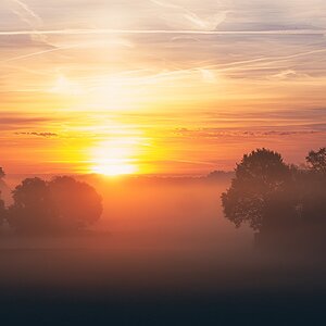 Nebel