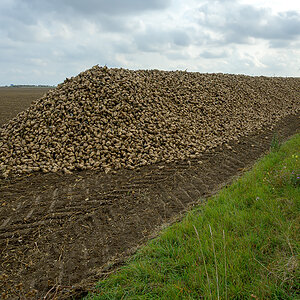OFZ_07797.jpg