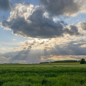OFZ_04466.jpg