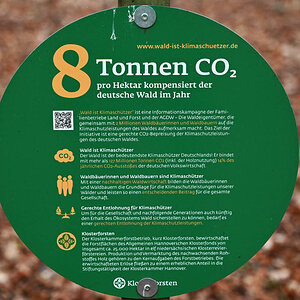 8 Tonnen.jpg