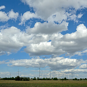 OFZ_07230.jpg