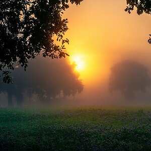 Nebel