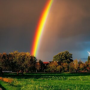 Regen