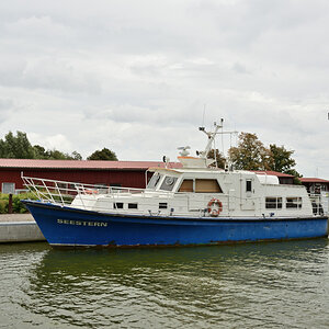 DSC_0537.JPG