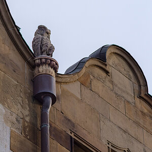 DSCF3515-3.jpg