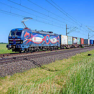 OFZ_04907.jpg