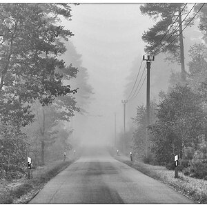 Nebelstraße_BW.jpg