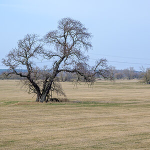 OFZ_03657.jpg