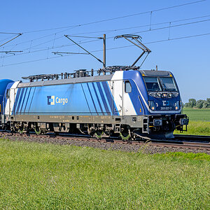 OFZ_04915.jpg