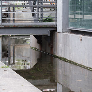 DSCF3496.jpg