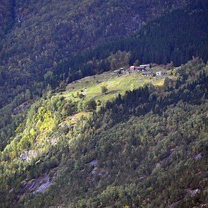 eidfjord_einsam.jpg