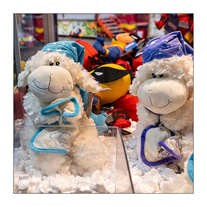 279/365 Kate Bush – And Dream Of Sheep © 2026 Sabine Lommatzsch
