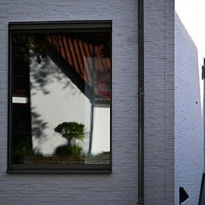 Z8A_3584fks35p1.jpg