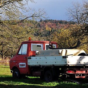 DSC 722herbst