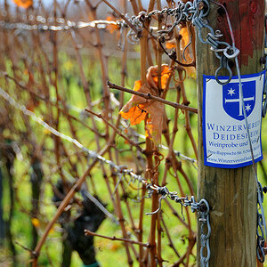 DSC 3327 Schild Winzerverein