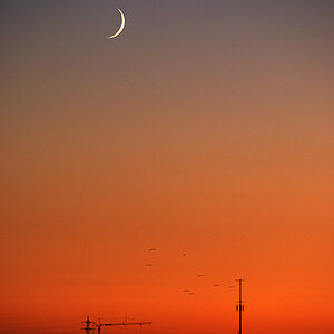 Novemberlicht 3
