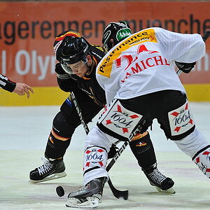 003 20091108 152758 Deutschl.Schweiz