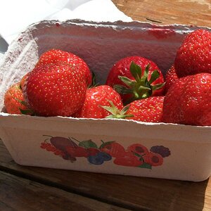20080608 DSCF1030 2