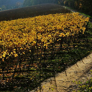 Weinbergsweg