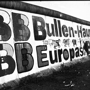 Mauer Bullen