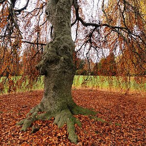Herbstkreis