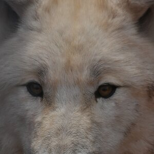 comp DSC 2275