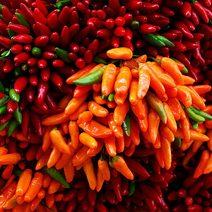 rot und scharf