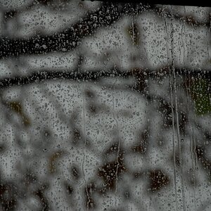 regen01w3