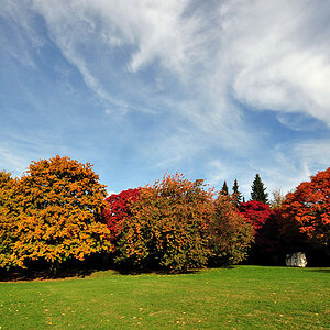 Herbst 2