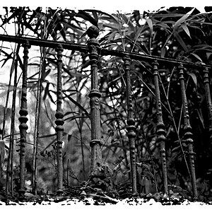 Welcome to the Jungle