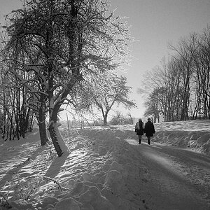 2010000 N15 20sw Winter Gaumberg 1024