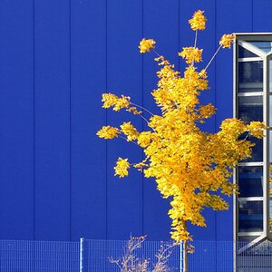 DSC 2952 Blaue Fabrik Forum
