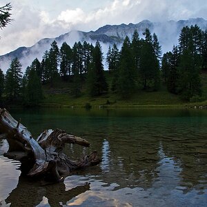Schweiz nff (1)
