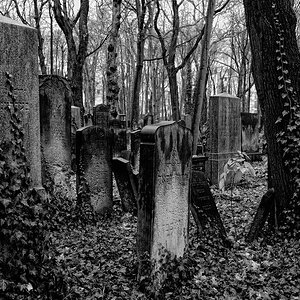 Jüdischer Friedhof I