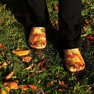 herbstpuschen