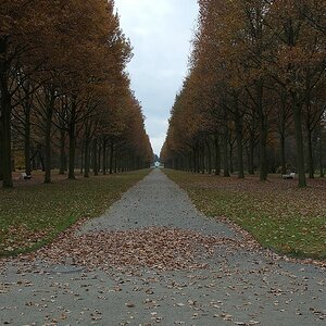 DSCF0541