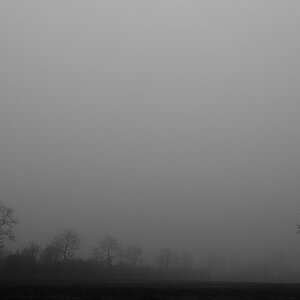 nebel