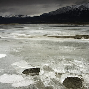 Preacher's Point am Lake Abraham, Bighorn Wildlands