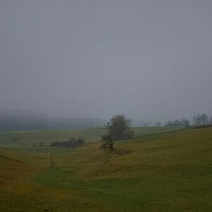 nebel2 (1 von 1)