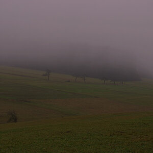 nebel1 (1 von 1)
