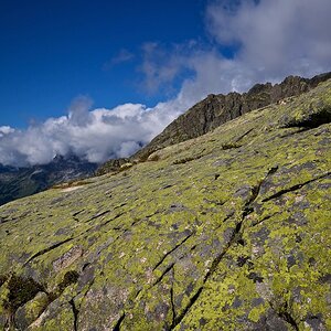 Schweiz nff (14)