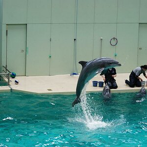 Besuch im ZOO 2