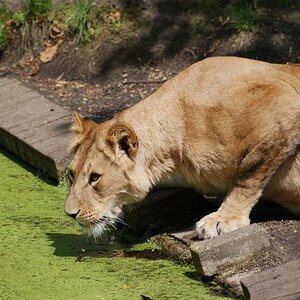 Besuch im ZOO 3
